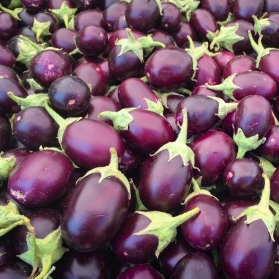 Melanzane Viola - Tonde