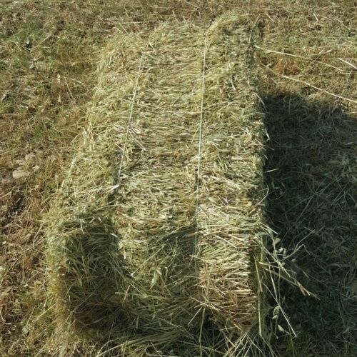 Balletta Fieno 20 KG Circa