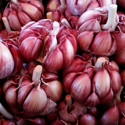 Aglio Rosso