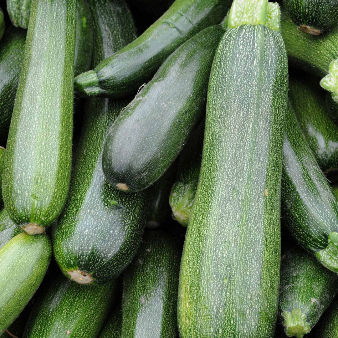 Zucchine Verde Scuro