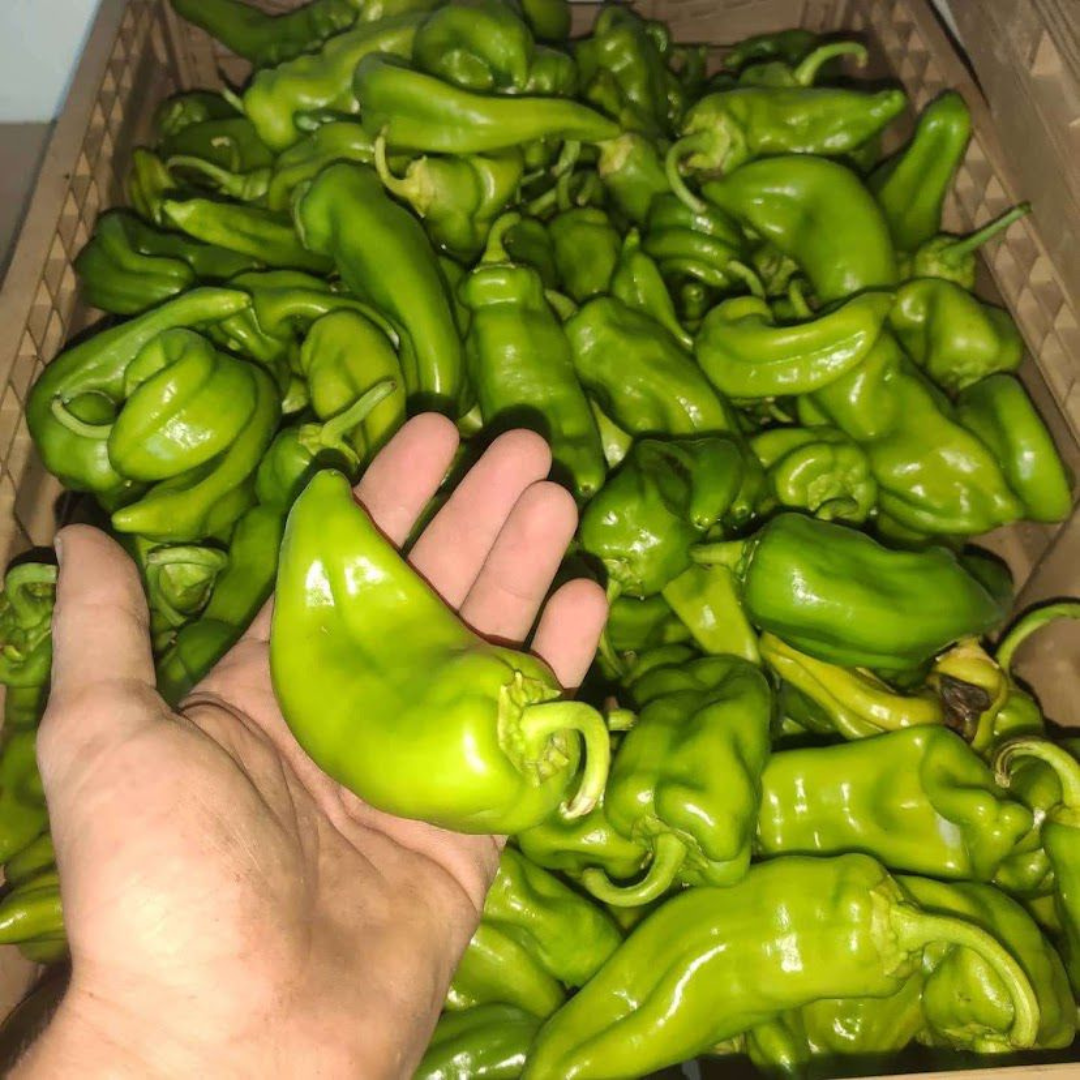 Peperoni Corno di Toro