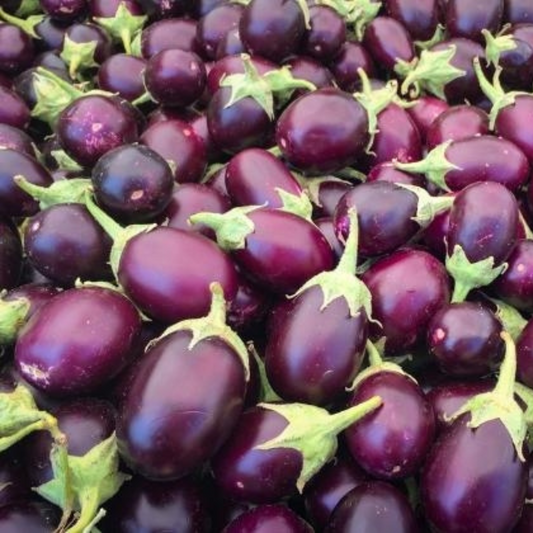 Melanzane Viola - Tonde