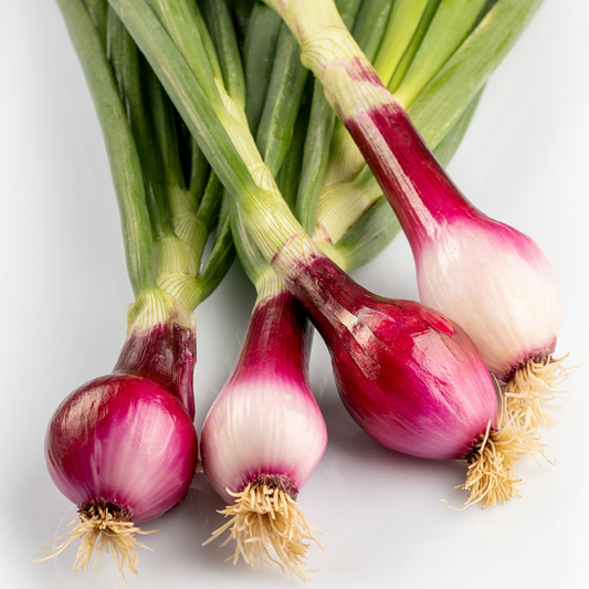 Cipolle Rosse